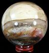 Colorful Petrified Wood Sphere #49772-1